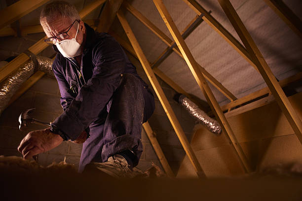 Best Insulation Materials and Products in Lamont, CA